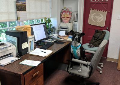 Io, the office dog